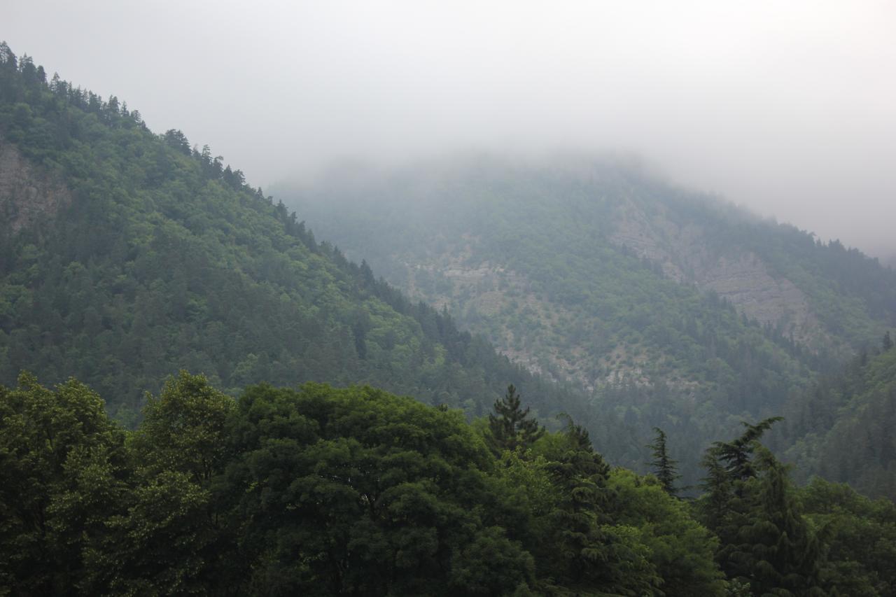 Firuza Hostel Bordzjomi Buitenkant foto